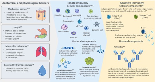 Anatomical and physiological barriers