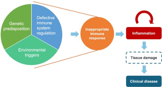 Mechanisms of IMIDs